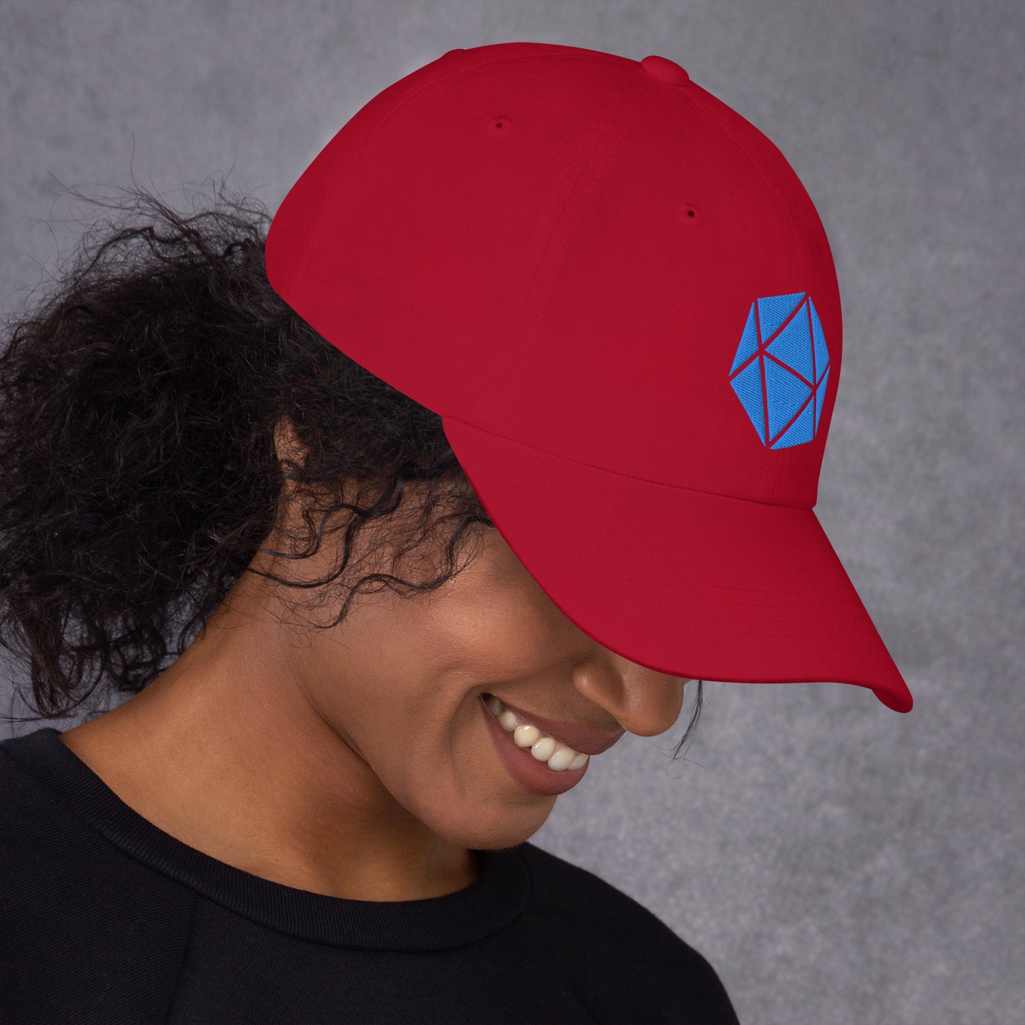 D20 Embroidered Dad hat