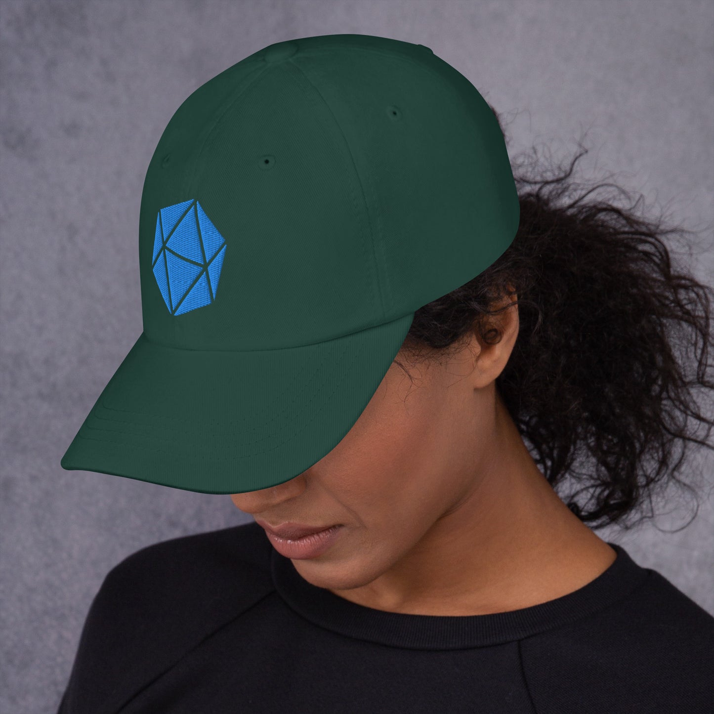 D20 Embroidered Dad hat