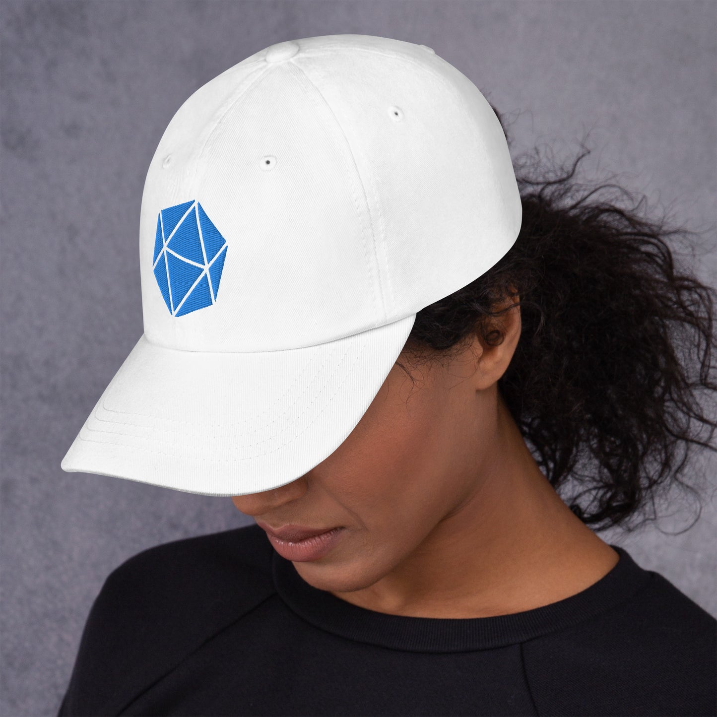 D20 Embroidered Dad hat